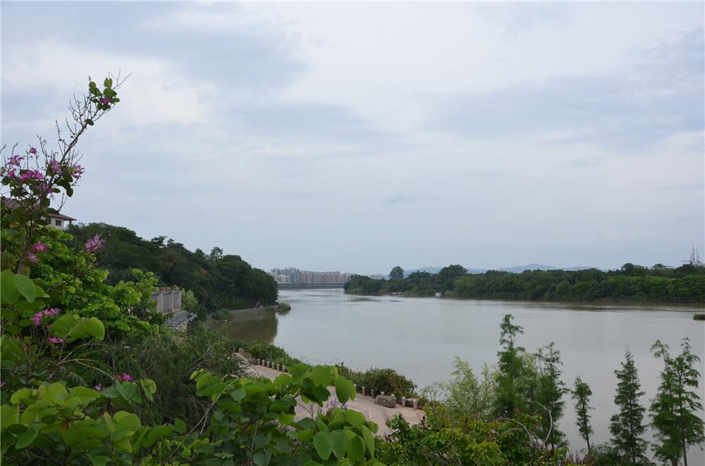 國(guó)務(wù)院：聚焦企業(yè)關(guān)切，進(jìn)一步推動(dòng)優(yōu)化營(yíng)商環(huán)境政策落實(shí)